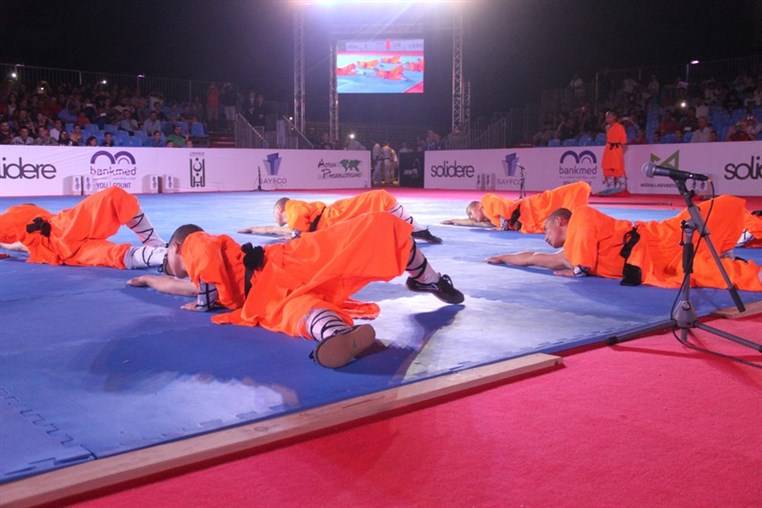 Martial Arts Festival